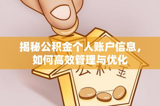 自流井揭秘公积金个人账户信息，如何高效管理与优化