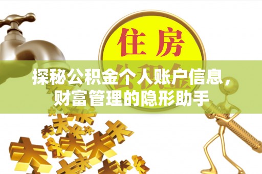 自流井探秘公积金个人账户信息，财富管理的隐形助手