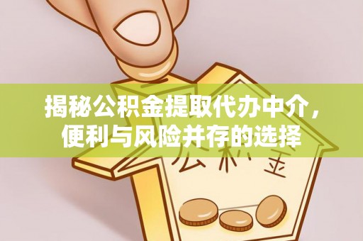 自流井揭秘公积金提取代办中介，便利与风险并存的选择