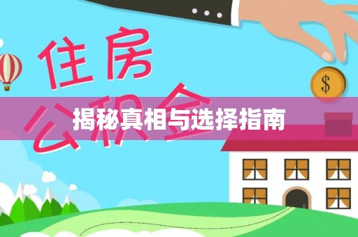 自流井揭秘真相与选择指南