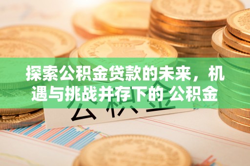 自流井探索公积金贷款的未来，机遇与挑战并存下的 公积金贷款风险防控