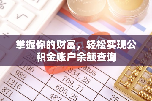 自流井掌握你的财富，轻松实现公积金账户余额查询
