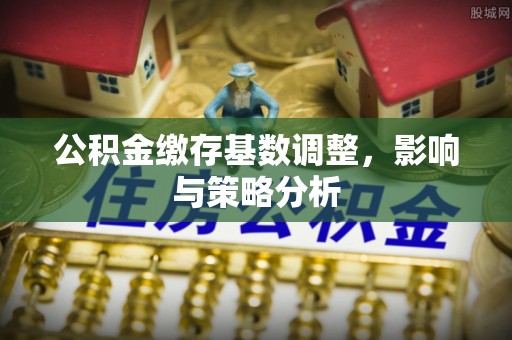 自流井公积金缴存基数调整，影响与策略分析