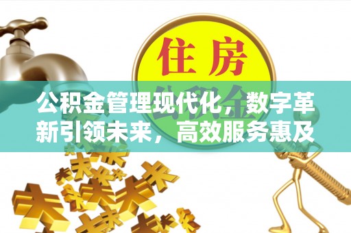 自流井公积金管理现代化，数字革新引领未来，高效服务惠及民生