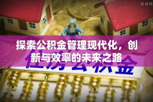 自流井探索公积金管理现代化，创新与效率的未来之路
