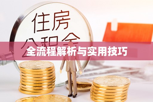 自流井全流程解析与实用技巧