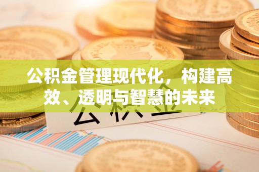 自流井公积金管理现代化，构建高效、透明与智慧的未来