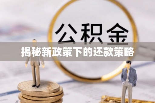 自流井揭秘新政策下的还款策略