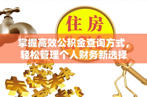 自流井掌握高效公积金查询方式，轻松管理个人财务新选择