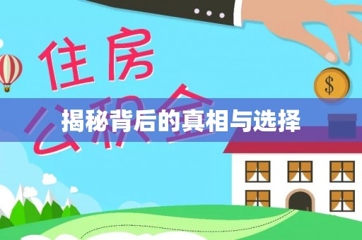 自流井揭秘背后的真相与选择