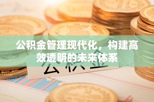 自流井公积金管理现代化，构建高效透明的未来体系