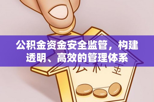 自流井公积金资金安全监管，构建透明、高效的管理体系