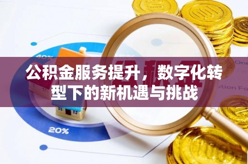 自流井公积金服务提升，数字化转型下的新机遇与挑战