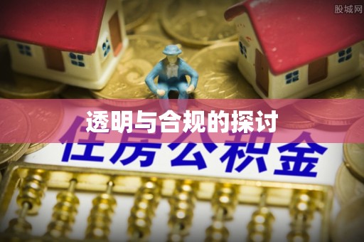 自流井透明与合规的探讨