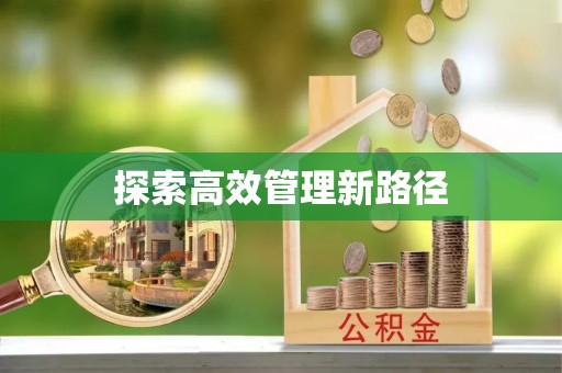 自流井探索高效管理新路径