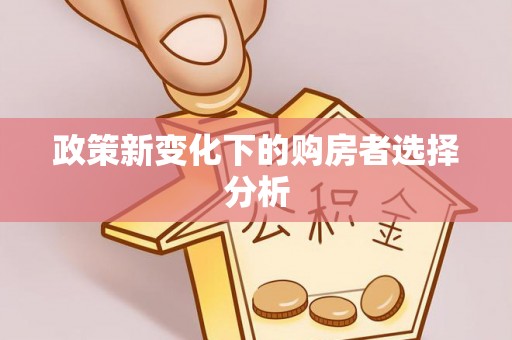 自流井政策新变化下的购房者选择分析