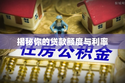 自流井揭秘你的贷款额度与利率