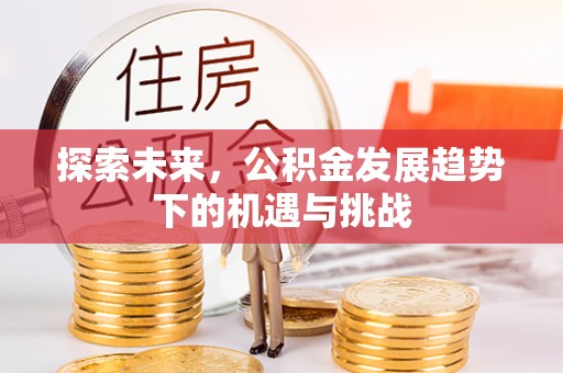 自流井探索未来，公积金发展趋势下的机遇与挑战
