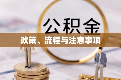 自流井政策、流程与注意事项