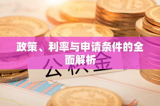 自流井政策、利率与申请条件的全面解析