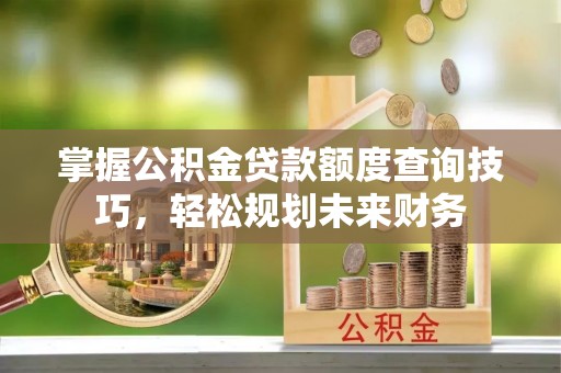 自流井掌握公积金贷款额度查询技巧，轻松规划未来财务