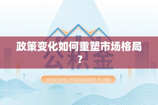 自流井政策变化如何重塑市场格局？