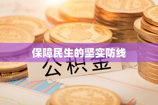 自流井保障民生的坚实防线