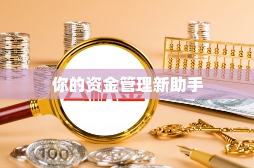 自流井你的资金管理新助手