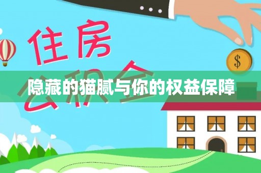 自流井隐藏的猫腻与你的权益保障