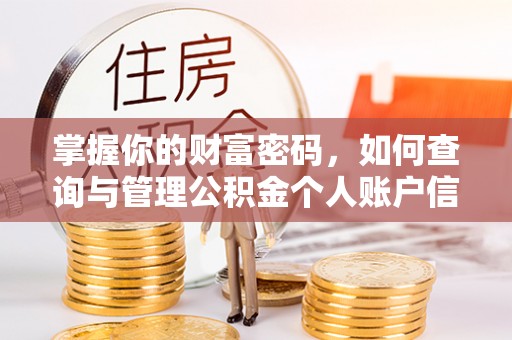自流井掌握你的财富密码，如何查询与管理公积金个人账户信息