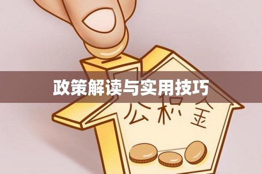 自流井政策解读与实用技巧