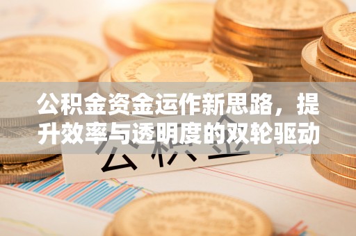 自流井公积金资金运作新思路，提升效率与透明度的双轮驱动
