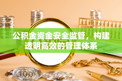 自流井公积金资金安全监管，构建透明高效的管理体系
