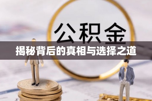 自流井揭秘背后的真相与选择之道