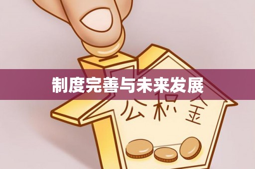 自流井制度完善与未来发展