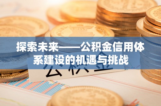自流井探索未来——公积金信用体系建设的机遇与挑战