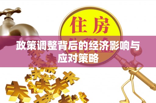 自流井政策调整背后的经济影响与应对策略