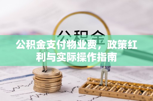 自流井公积金支付物业费，政策红利与实际操作指南