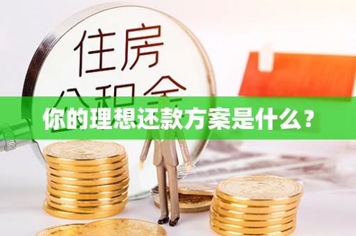 自流井你的理想还款方案是什么？