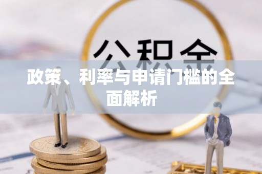自流井政策、利率与申请门槛的全面解析