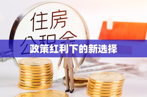 自流井政策红利下的新选择