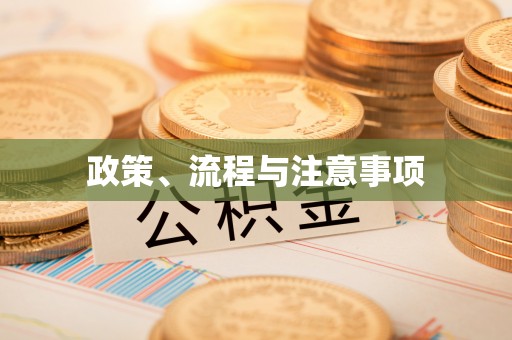 自流井政策、流程与注意事项