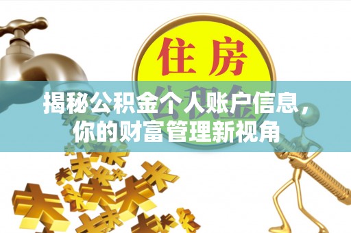 自流井揭秘公积金个人账户信息，你的财富管理新视角