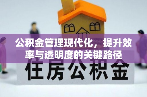 自流井公积金管理现代化，提升效率与透明度的关键路径