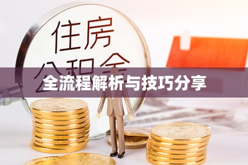 自流井全流程解析与技巧分享