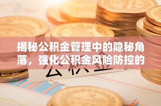 自流井揭秘公积金管理中的隐秘角落，强化公积金风险防控的必要性与路径