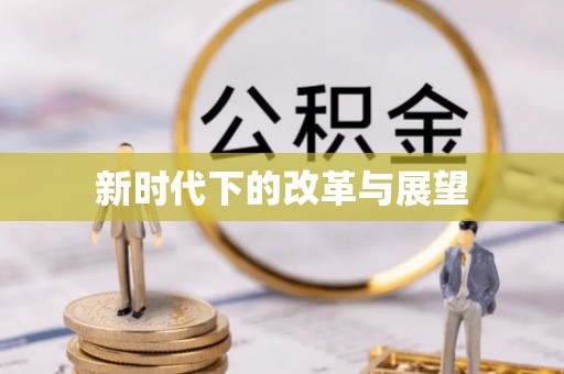 自流井新时代下的改革与展望