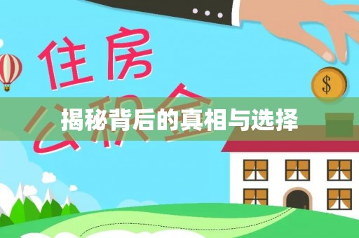 自流井揭秘背后的真相与选择