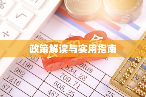 自流井政策解读与实用指南