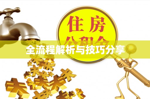自流井全流程解析与技巧分享
